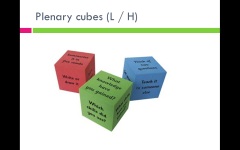 Plenary cubes
