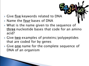 54321 DNA example
